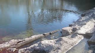 Достопримечательности Кривого Рога
