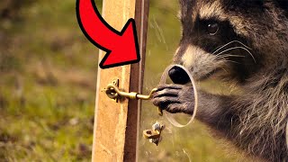 Most Intelligent Animals On Earth