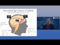 The Neurobiology of ADHD