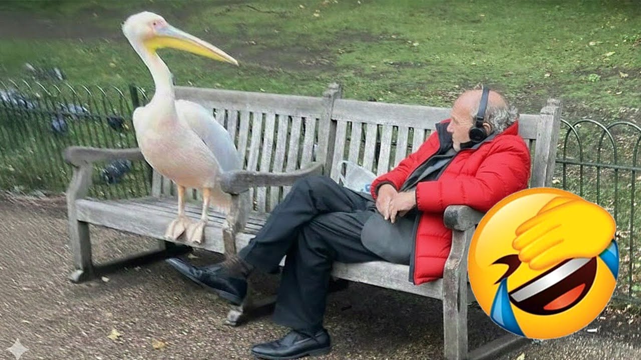 The Funniest ANIMALS of 2026 So Far 🤩 NEW Funny Animal Videos 😍 