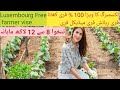 Luxembourg 100% Free Visa| Farm Worker Visa | Free Flight Food Housing |