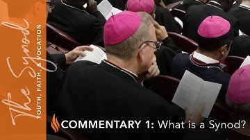 Word from Rome - Commentary #1 - What Is a Synod?