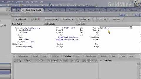 Goldmine CRM Microsoft Outlook Integration