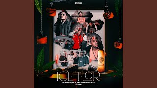 Ice e Flor screenshot 2