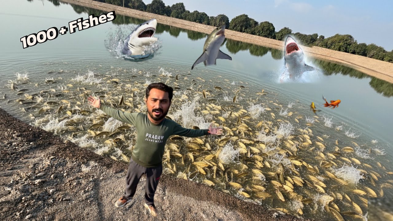 1000 Plus Fishes 🐠 Chor Di Talab Ma 🥳