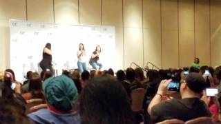 Clexa Con 2017: Hollstein Panel Clip