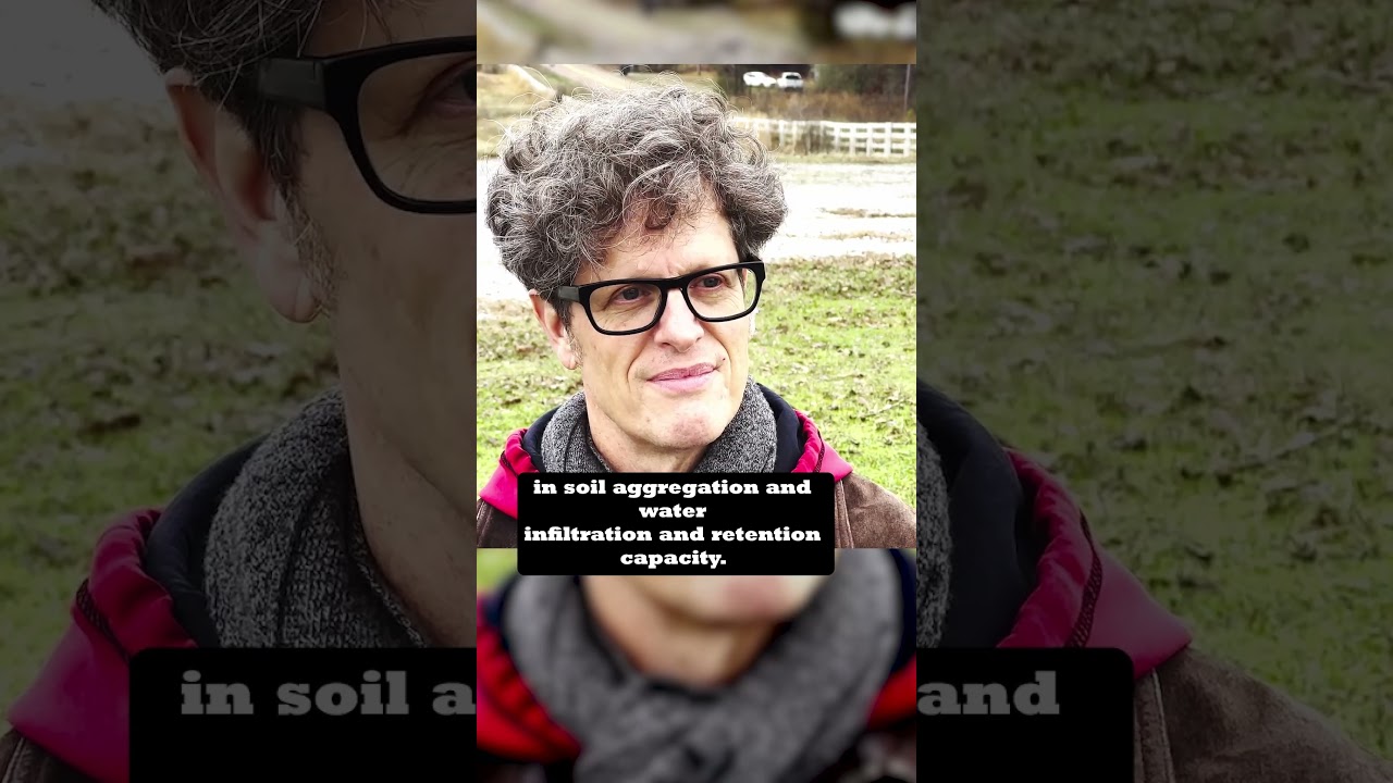 What AMP grazing does