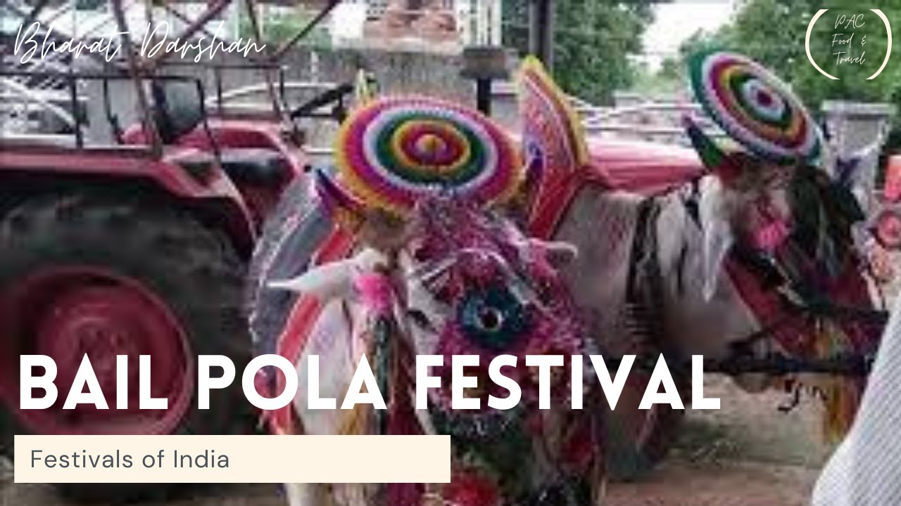 Bail Pola Festival India - YouTube