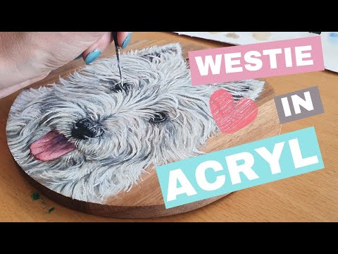 Video: Wie man das Fell eines Hundes auf natürliche Weise weiß macht