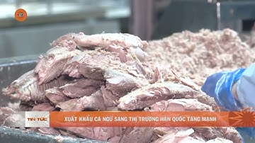 XUẤT KHẨU CÁ NGỪ SANG THỊ TRƯỜNG HÀN QUỐC TĂNG MẠNH | VTV5