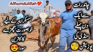 1 Day Left 💔 In Northern Bypass Mandi || Allhumdulillah Subscriber K Liye Bhetreen Soda Karliya 😍