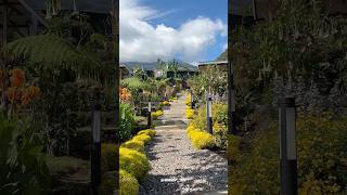 Escalla Flora Trawas Cafe Baru Suasana Garden