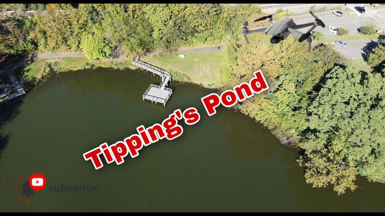 Tipping's Pond Pennsauken NJ (2.7K Footage) turtle drone pond YouTube