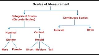 Variable on a nominal scale, Ordinal scale, Interval scale, Ratio scale (Types of Measurement Scales