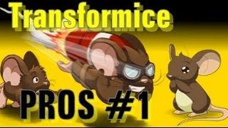 Transformice-tiriricaaaaa,taatoow e paudy