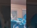 Me and my friends when we beat that one boss