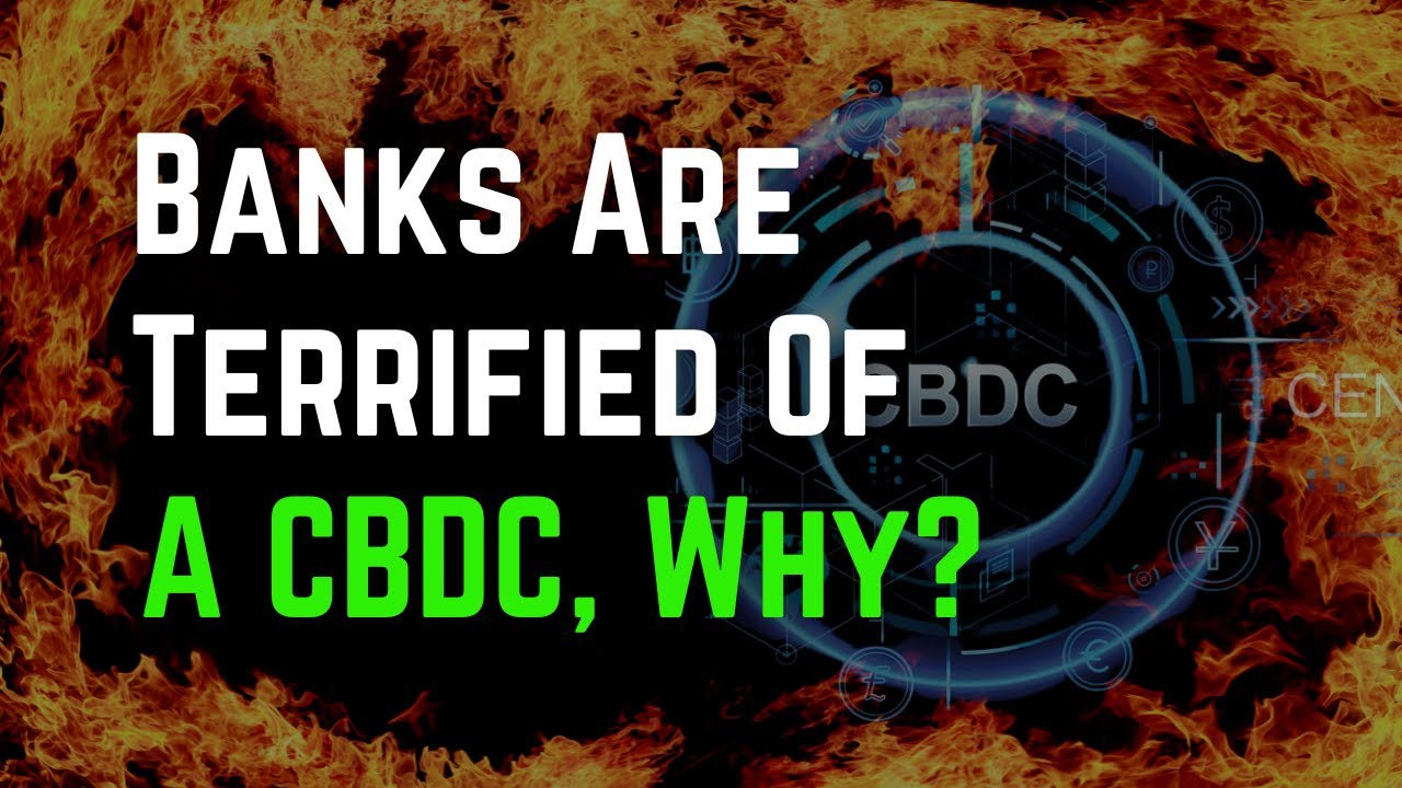 The FED's CBDC, Why Banks Are Terrified! YouTube