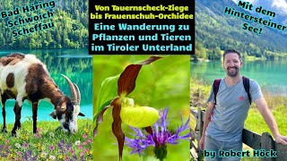 Von Tauernscheck-Ziege bis Frauenschuh-Orchidee! Meine Heimat Tirol! #tirol #natur #hintersteinersee