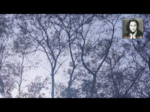 Rossini : Armida / Larmore 1997 - YouTube