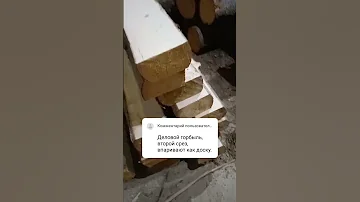 из чего пилим доски и как выглядит горбыль  #доски #пиломатериалы #пилорама