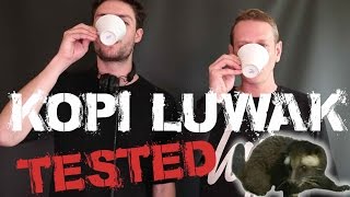 Kopi Luwak - The Worlds Most Expensive Coffee.. Is it the S#*t?