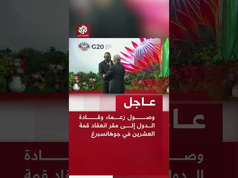 وصول زعماء وقادة الدول إلى مقر انعقاد قمة العشرين في جوهانسبرغ