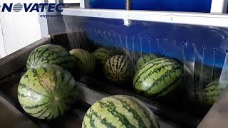 Novatec S.A. - Processing Line for Watermelons & Melons