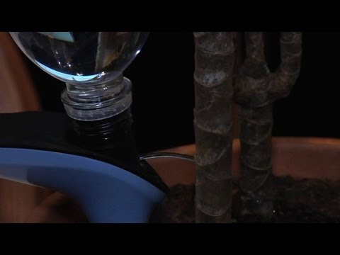 Video: Mulchen. Reservoir-mulchmethode
