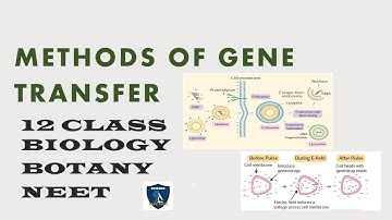 Methods of Gene Transfer I Principles and Processes of Biotechnology I Botany I Class12 I  NEET