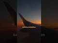 What If Both Pilots Fall Asleep? #shorts