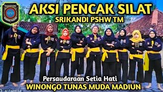 Aksi Pencak Silat Sh Winongo Stk Srikandi Pshw Tm