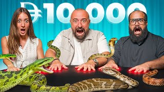 Try Not To Move Challenge Dubai