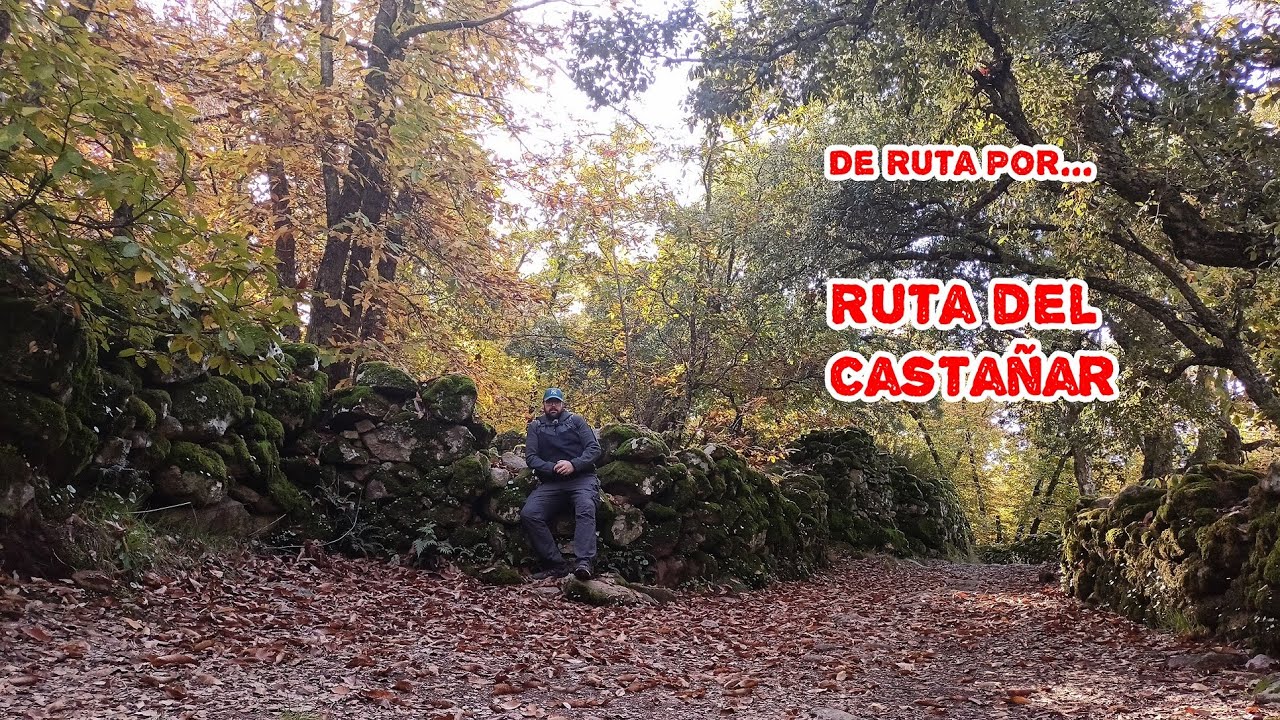 Ruta del Castañar en Montánchez 🌳: Senderismo y Naturaleza en Otoño 🍂 Extremadura