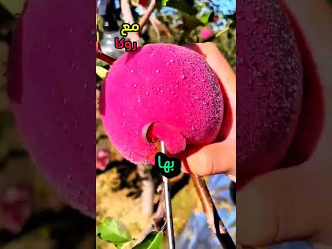اختراعات بسيطه يمكن عملها في المنزل ١١٧٧ج