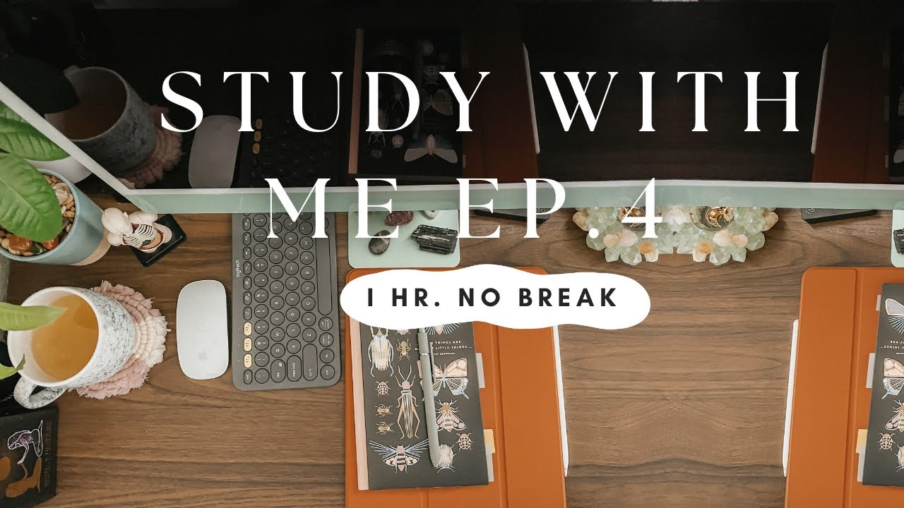 Study With Me Ep. 4🌷 1 Hr no break🩺Relaxing piano, jazz, & fireplace
