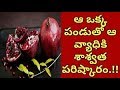 Amazing Health Benefits Of Pomegranate | Pomegranate Benefits In Telugu ...