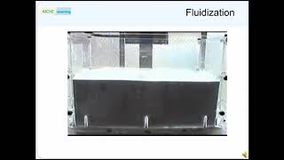 Celebrity Jeremy in a Cracking Reactor Fluidized Bed Net Worth