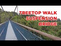 TreeTop Walk, MacRitchie Central Catchment Area || Walking Singapore