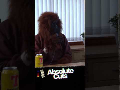 Ryan's Monkey journey