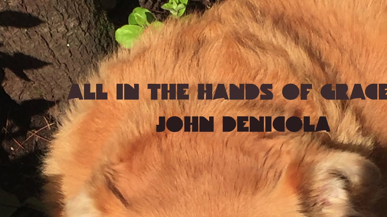 All In The Hands Of Grace - John DeNicola