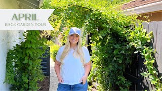 April Back Garden Tour! Lots of Changes in My Zone 9b Backyard! :: Dig, Plant, Water, Repeat