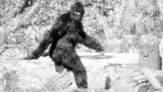 Is Patterson-Gimlin a hoax New Evidence 