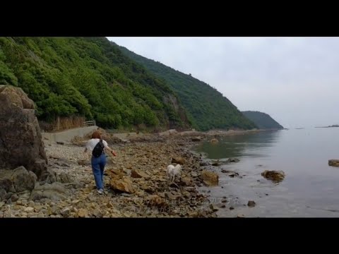 273.夏の【万葉の岬】相生市 年中牡蠣が食べられる津田宇水産から万葉の岬へ👍 しかし岬の山道は超キケン⚡(要注意) 新鮮な牡蠣と海岸での絶景磯遊びは最高でした😊🌈✨