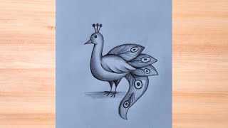 How to Draw a Beautiful Peacock | Easy Peacock Drawing with Pencil Shading | Simple Bird Drawing 
