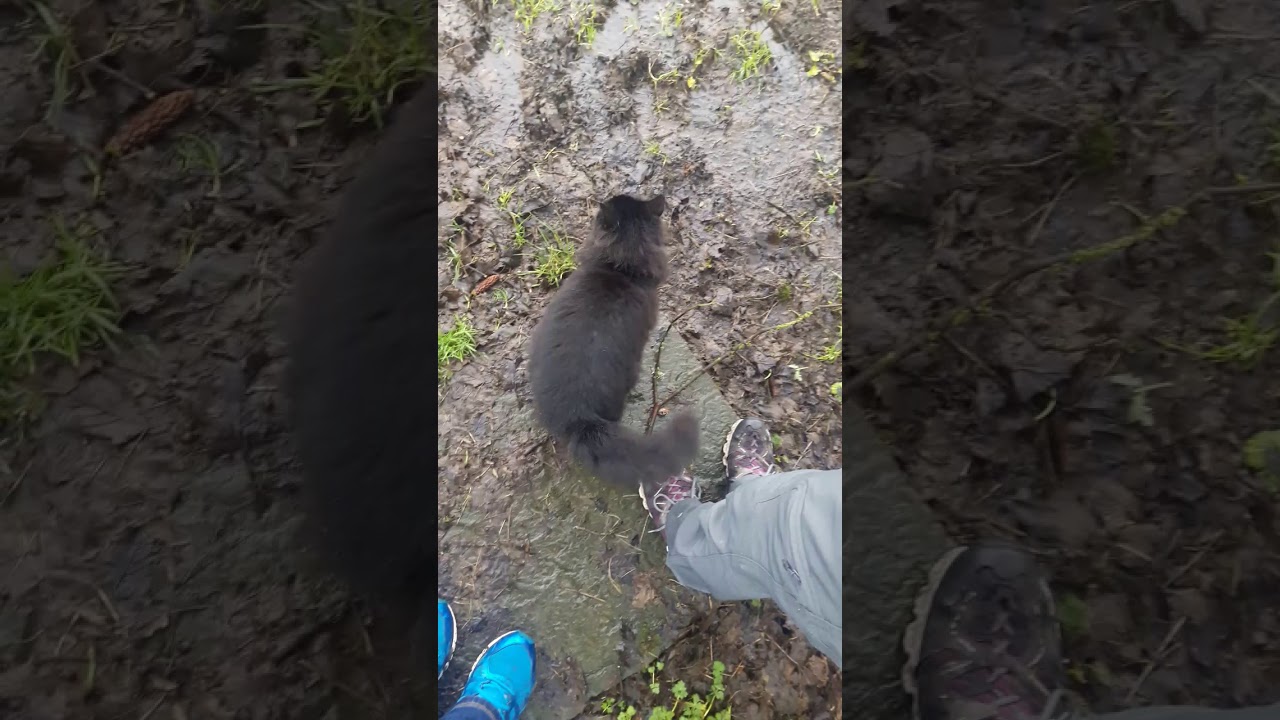 Your Irish Connection  - Cave of the Cats in January 2018 - Part 2