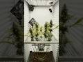 DAY 71 Bubble Gum Sherb Fridge Grow 2 0 Indoorgrowing Cannabisgrower Fridgegrow mp3