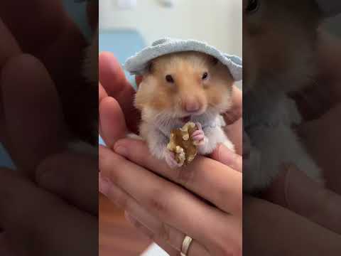 Bu dünyadan bir Dursun Sarı geçti 22.03.25 ♾️