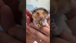 Bu dünyadan bir Dursun Sarı geçti 22.03.25 ♾️