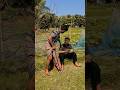 বউ কপালে লাথি দিয়ে চলে গেছে🤣 #funnyvideo #comedyvideo #foryou #viralfunnyvideo