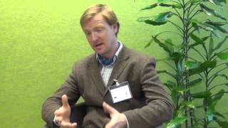 What Does Diversity Mean For An Organisation?